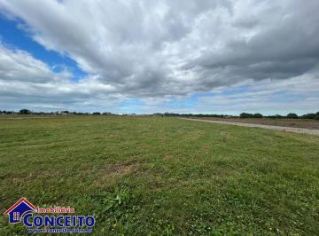 Terreno , Imbé · T202 - Terreno de esquina com área de 450 m² no Loteamento Nova Imbé