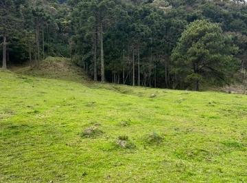 24800932_4.jpg · Área rural com 06 hectares em Urubici/ SC