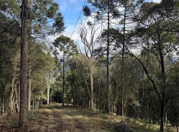 24586009_4.jpg · 2 hectares com casa à Venda em Urubici/ SC