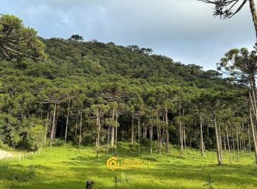 24230305_4.jpg · Área de 15hectares situada em Urubici