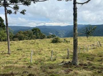 24451411_4.jpg · Área Rural à Venda de 30 Hectares em Urubici/ SC