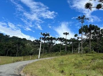 24339365_4.jpg · 2 hectares em Urubici