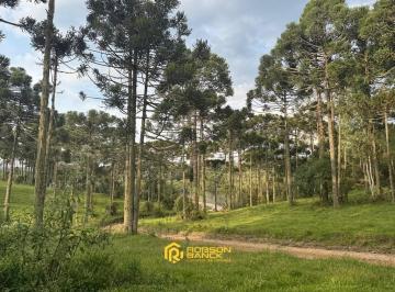 24339607_4.jpg · 14,6 hectares em Rio Rufino/ SC