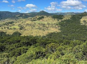 24292187_4.jpg · 42,7 hectares localizados em São Joaquim