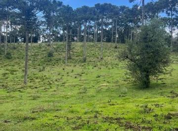 24312876_4.jpg · Terreno Rural com 3 hectares em Urubici/ SC