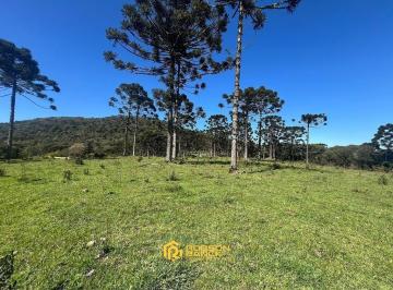 24286885_4.jpg · Chácara de 2 hectares em Painel/ SC