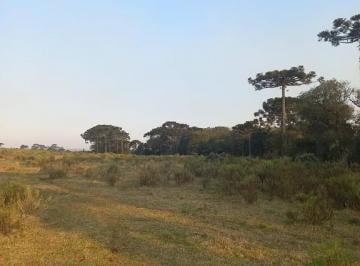 24230814_4.jpg · Terreno de 57,8 hectares em São Joaquim