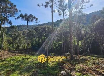 24344898_4.jpg · Chácara de 2,0 hectares em Urubici