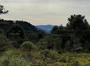 24401543_4.jpg · 2,0 hectares em Urubici/ SC