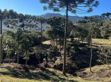 24549541_4.jpg · Área de 7,1 hectares em Urubici/ SC