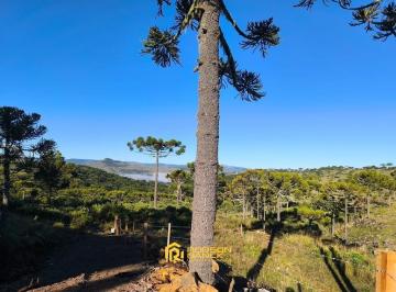 24386738_4.jpg · Terreno Rural com 4 hectares em Urubici/ SC