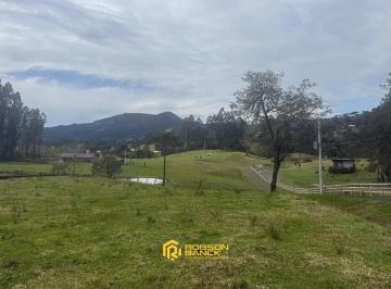 24709825_4.jpg · 2,0 hectares em Urubici