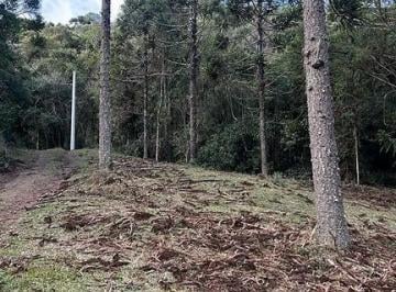 24585884_4.jpg · 2 hectares à Venda em Urubici/ SC