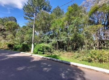 whatsapp-image-2025-10-03-at-18-51-53-21759667026400.jpeg · Terreno à venda, São Bernardo, São Francisco de Paula, RS