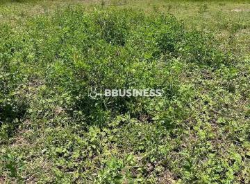 4a6cc6cc-f292-4a20-aecb-03691b59fae3.jpg · Terreno de 360m² à Venda no Condomínio Cidade Nova Cajueiro Excelente Localização - São João da Ba