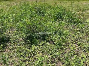 4a6cc6cc-f292-4a20-aecb-03691b59fae3.jpg · Terreno de 360m² à Venda no Condomínio Cidade Nova Cajueiro Excelente Localização - São João da Ba