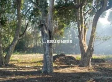 acd885c6-e5c6-41d0-bab6-41bc0e032e29.jpg · Sítio com 12.000m² e Obra de Pousada em Andamento a 5 Min das Praias de Grussaí e Atafona  Escritura