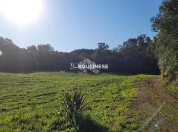 11767355928019.jpg · Terreno à venda, Forqueta, Caxias do Sul, RS