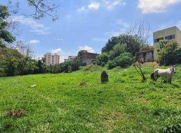 202604171917419648.jpg · Terreno Comercial