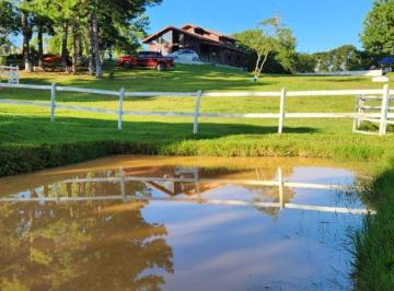 Rural de 4 quartos, Contenda · Chácara urbana próximo do centro de Contenda
