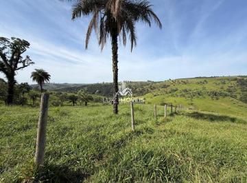 i1.jpg · Vendo Fazenda 29.5hectares Rio Paranaíba MG