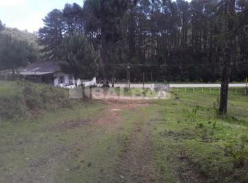 Rural · 770000m² · FAZENDA DE REFLORESTAMENTO À VENDA - OPORTUNIDADE EM EMBU-GUAÇU/SP