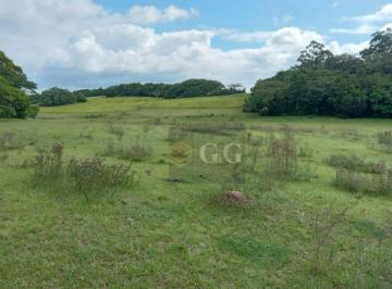 5ad408d6c95da2e0ba690744a9ee9b8a83e7eaee · Área de 13,6ha à venda - Itapuã RS