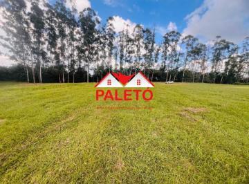 Foto 01 · Terreno 400 m² próximo ao asfalto a venda no Ninho Vede I Eco Residence