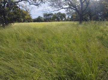 Rural en Venda de 3 quartos  · Fazenda á venda 193,9 hectares em Amaralina GO, região de Mara Rosa GO