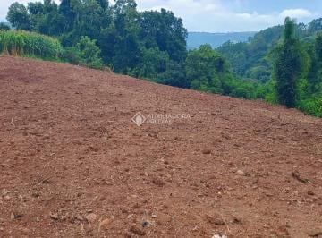 1 · Terreno em área rural no interior de Nova Petrópolis. Matrícula em dia.