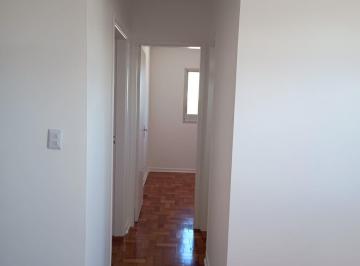 DSC_20260607_105343_000.jpeg · Excelente apartamento para locação em Vila Butantã com 2 quartos, 55m² - remaxjoy#FYCFN