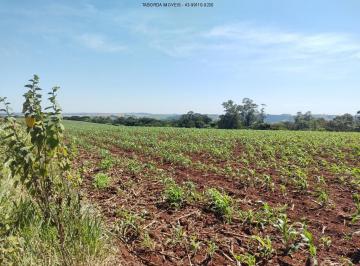 Foto 01 · Sítio - Jacarezinho