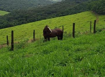 Rural · 726000m² · Rurais à venda - na Zona Rural