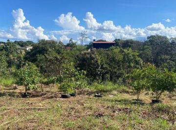 Rural de 1 quarto, Gama · CHACARA DE 8MIL/M² COM SEGURANÇA DE CONDOMINIO