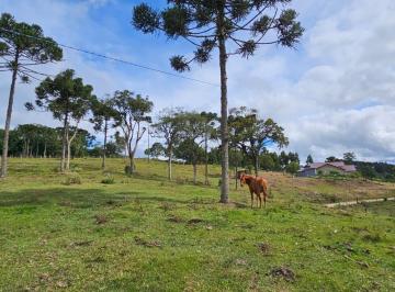 Foto 01 · Area, São Pedro, Rio Negrinho, SC