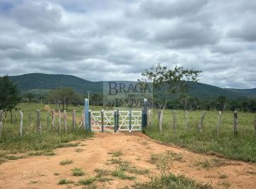 Foto 01 · Fazenda de 1.739 hectares à venda em Boa Vista do Tupim-BA, uma oportunidade única!