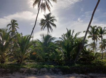 Terreno , Maraú · Pé na areia - Peninsula de Maraú