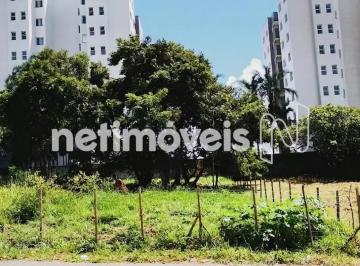 c5423b5b-3edf-4d3c-b3f3-0c8f135e625c.webp · Lote à Venda no Boa Esperança – Santa Luzia/MG | 546 m² Plano e Cercado em Excelente Localização