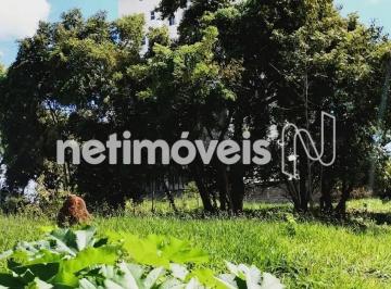 b933fddd-3c04-4a45-b97a-1a22f4dd2da4.webp · Lote à Venda no Boa Esperança – Santa Luzia/MG | 546 m² Plano e Cercado em Excelente Localização