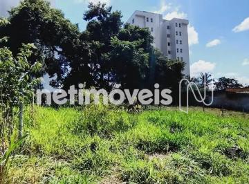 440baf4e-5e52-4a88-9d4a-b4a08c461df4.webp · Lote à Venda no Boa Esperança – Santa Luzia/MG | 546 m² Plano e Cercado em Excelente Localização