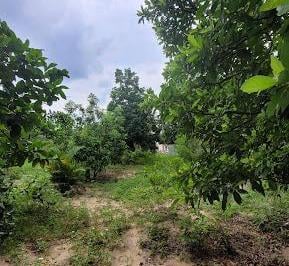 7719d517ae33489b1501d0be8517ee1d450da31d · Terreno à venda, 450 m² por R$ 110.000,00 - Fonte Limpa - Araruama/RJ