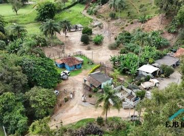 Rural · 40000m² · Sítio à venda em Pinhalzinho/SP