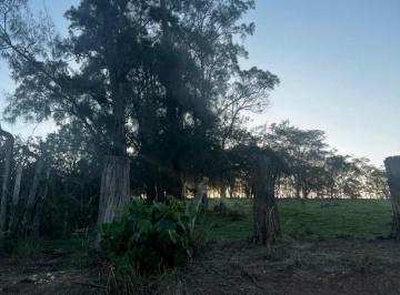 Rural , Jacareí · A partir de R$ 70 mil à vista
Ou a partir de 20 mil de entrada + 48x de R$ 1.460,00
Aceitamos o carr