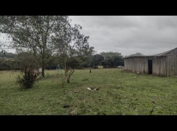 Rural , Viamão · Sitio para investimentos