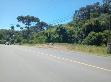 Terreno · 844m² · Terreno em Simonaggio, Garibaldi/RS de 844m² à venda por R$ 250.000,00