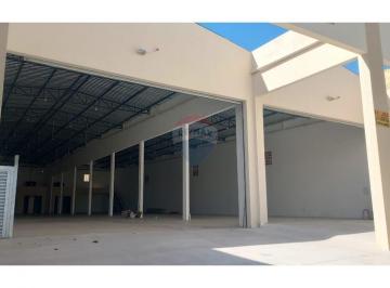 Comercial · 1000m² · 12 Vagas · Galpão em Vila Genioli, São Paulo/SP de 1000m² para locação R$ 28.000,00/mes