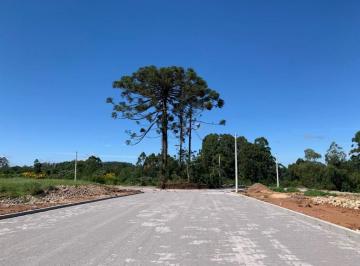 Terreno · 919m² · Terreno em Alfândega, Garibaldi/RS de 919m² à venda por R$ 399.000,00