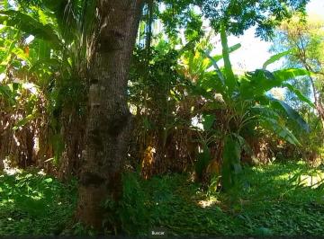 Terreno , São Gonçalo · Oportunidade: Terreno 499,20 m² em Condomínio Fechado na Mangueira