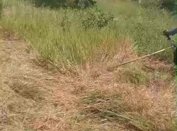 Terreno , Camaçari · Terreno 200m2 a venda em Monte Gordo, distrito de Camaçarí/BA. r$ 18.000,00
