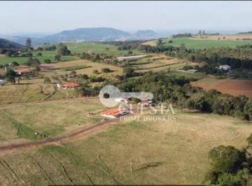 bd8d5c6c7767eba46810b4c36e50a6b1f0168042 · Chácara com 2 dormitórios à venda, 54200 m² por R$ 2.990.000,00 - Centro - Pardinho/SP
